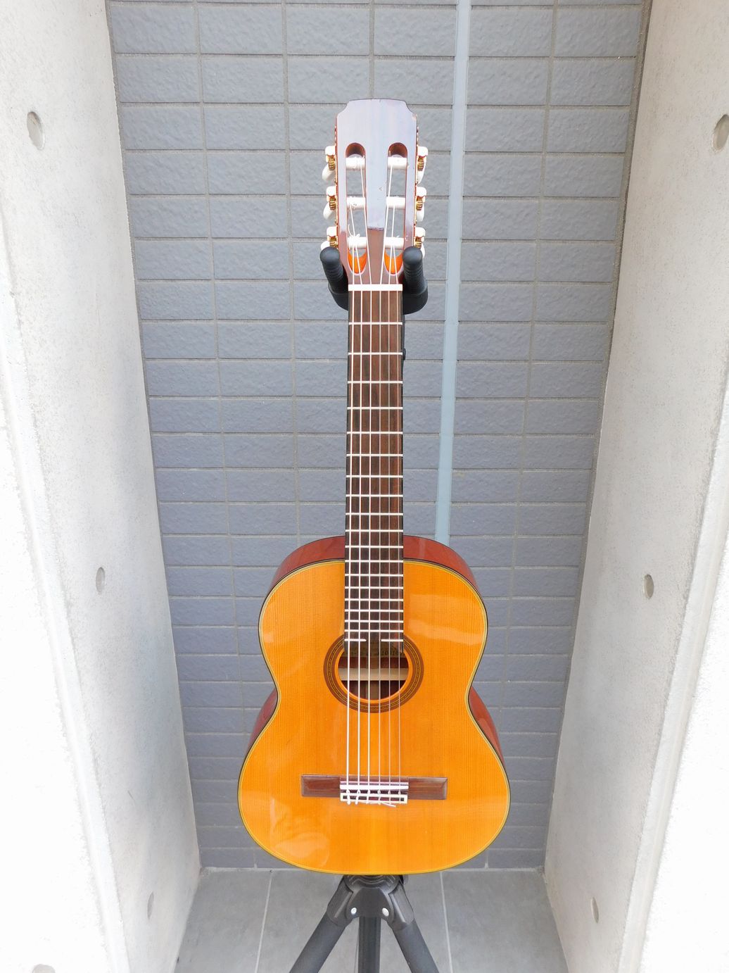 中古　ARIA アリア A-20-48　ミニガットギター　ソフトケース付き