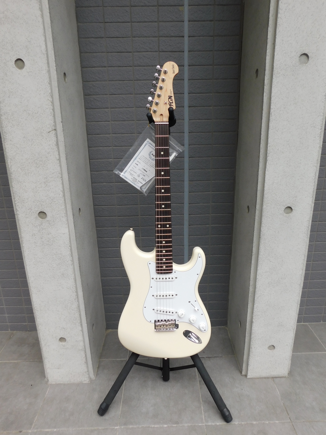 新品　FUJIGEN(FGN) フジゲン BCST10RBD ストラトタイプ ギグバック付き