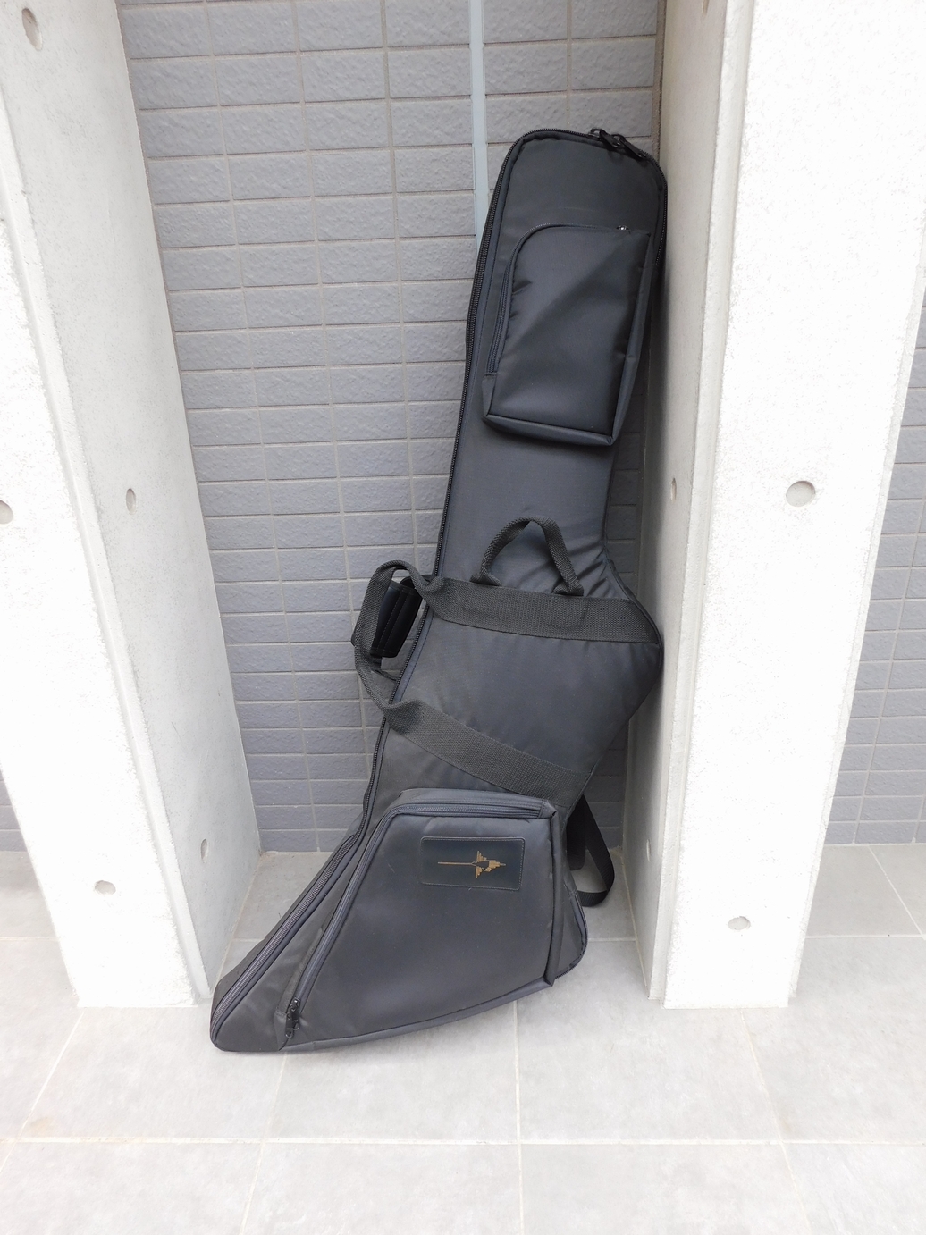 中古　NAZCA PROTECT CASE ナスカ ファイヤーバード リバース用 ギグバック