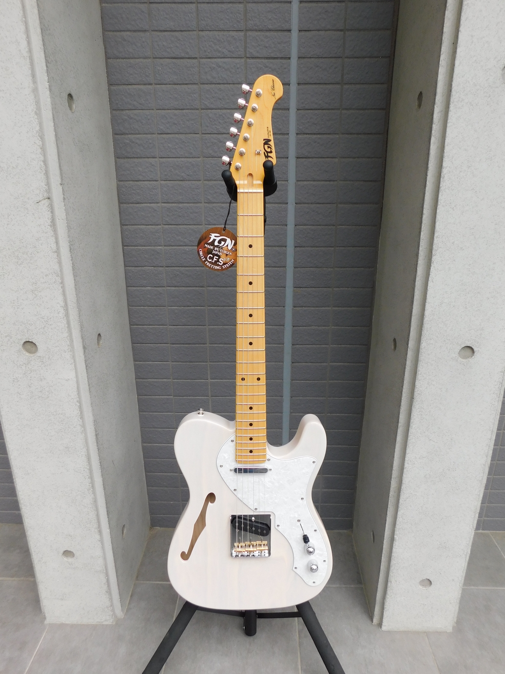 新品　Fujigen　フジゲン　Neo Classic NTE　NTE100MAHT-WB　シンライン　ギグバック付き