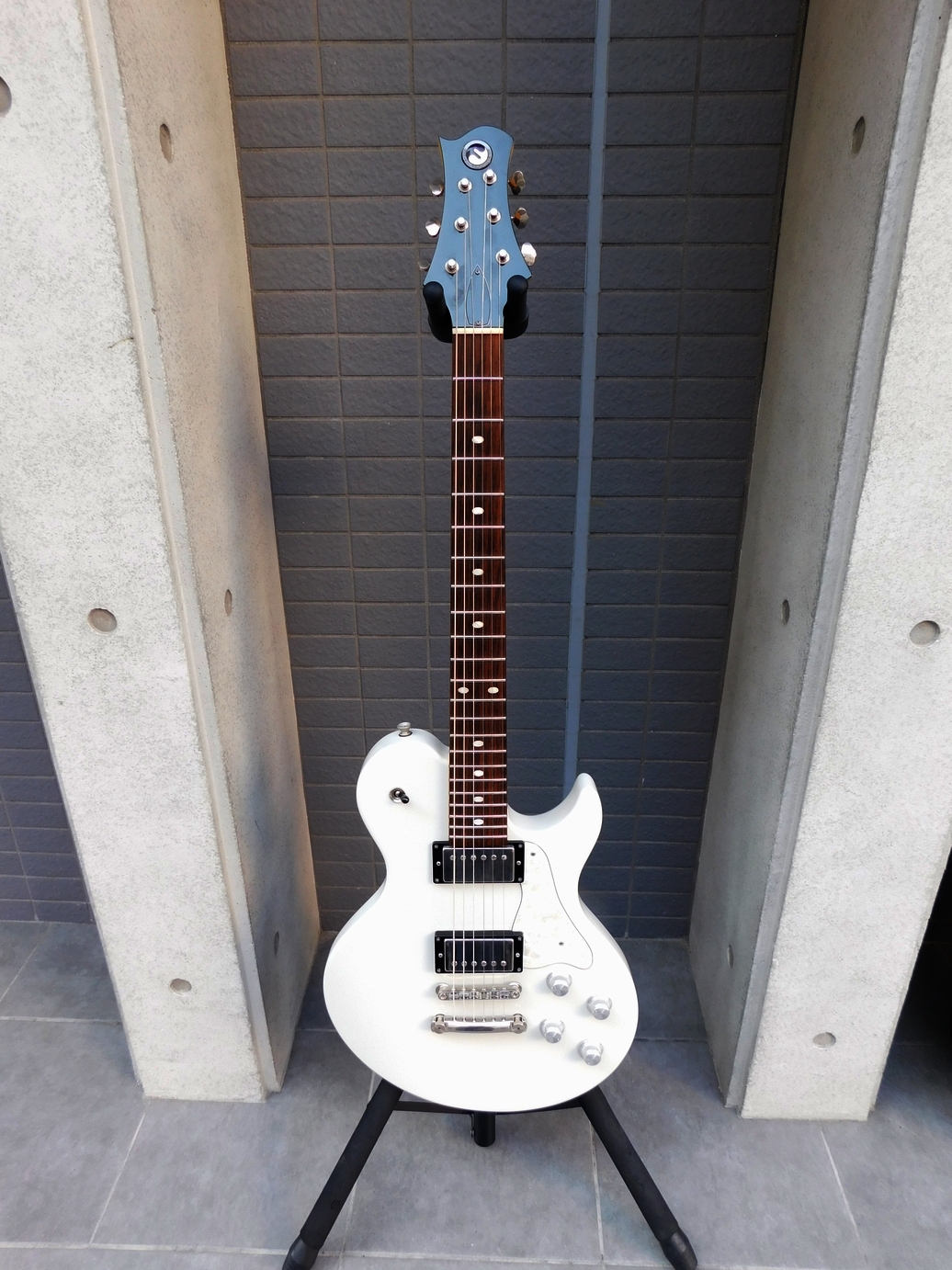 中古　FREEDOM CUSTOM GUITAR RESEARCH フリーダム RRS Bravery-12 オリジナルケース付き