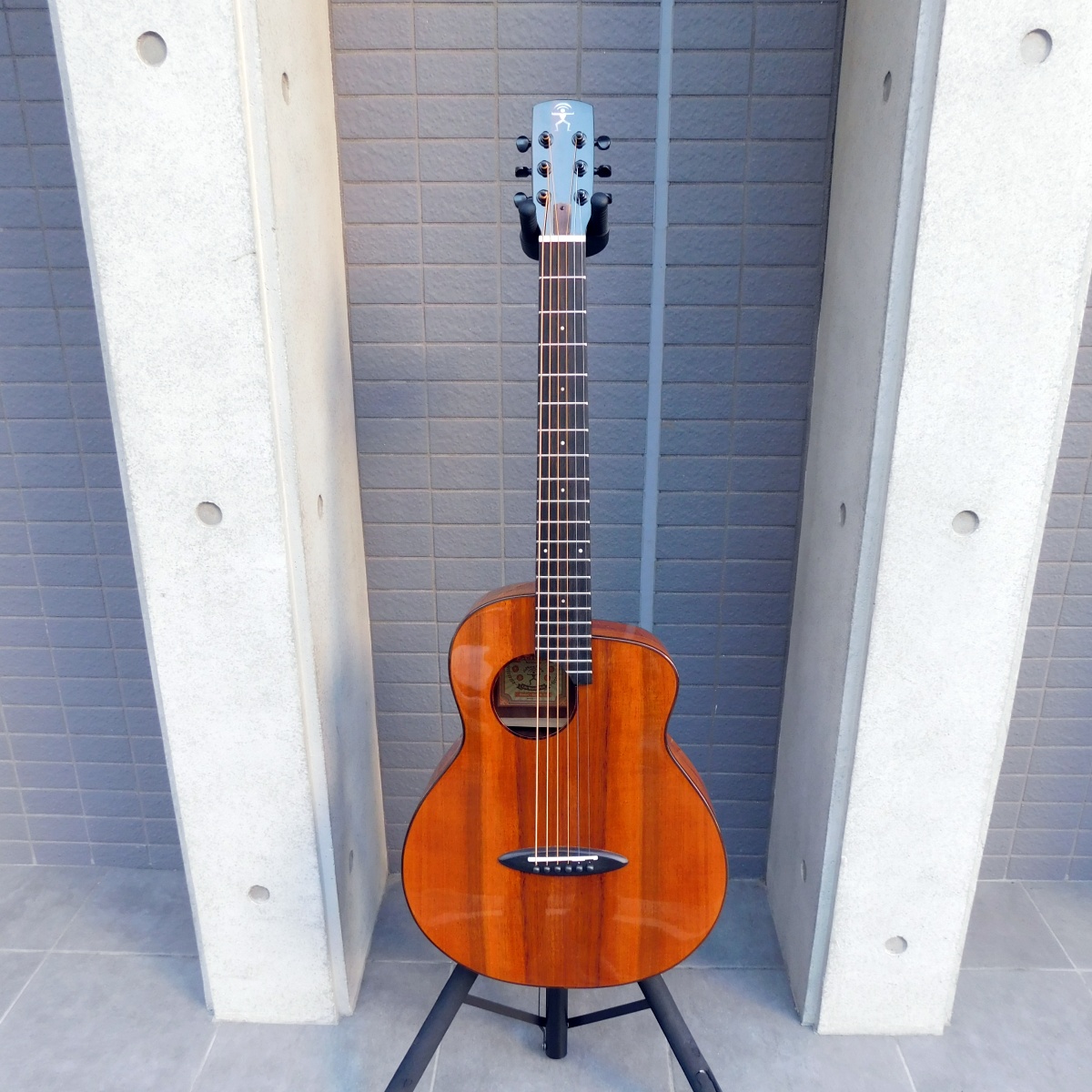 中古 aNueNue アヌエヌエ ann-M32 ギグバック付き