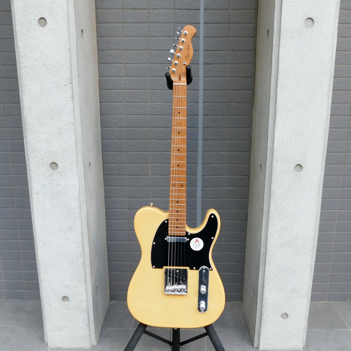 中古 Bacchus バッカス BTE-1-RSM/M テレキャスタータイプ ソフトケース付き